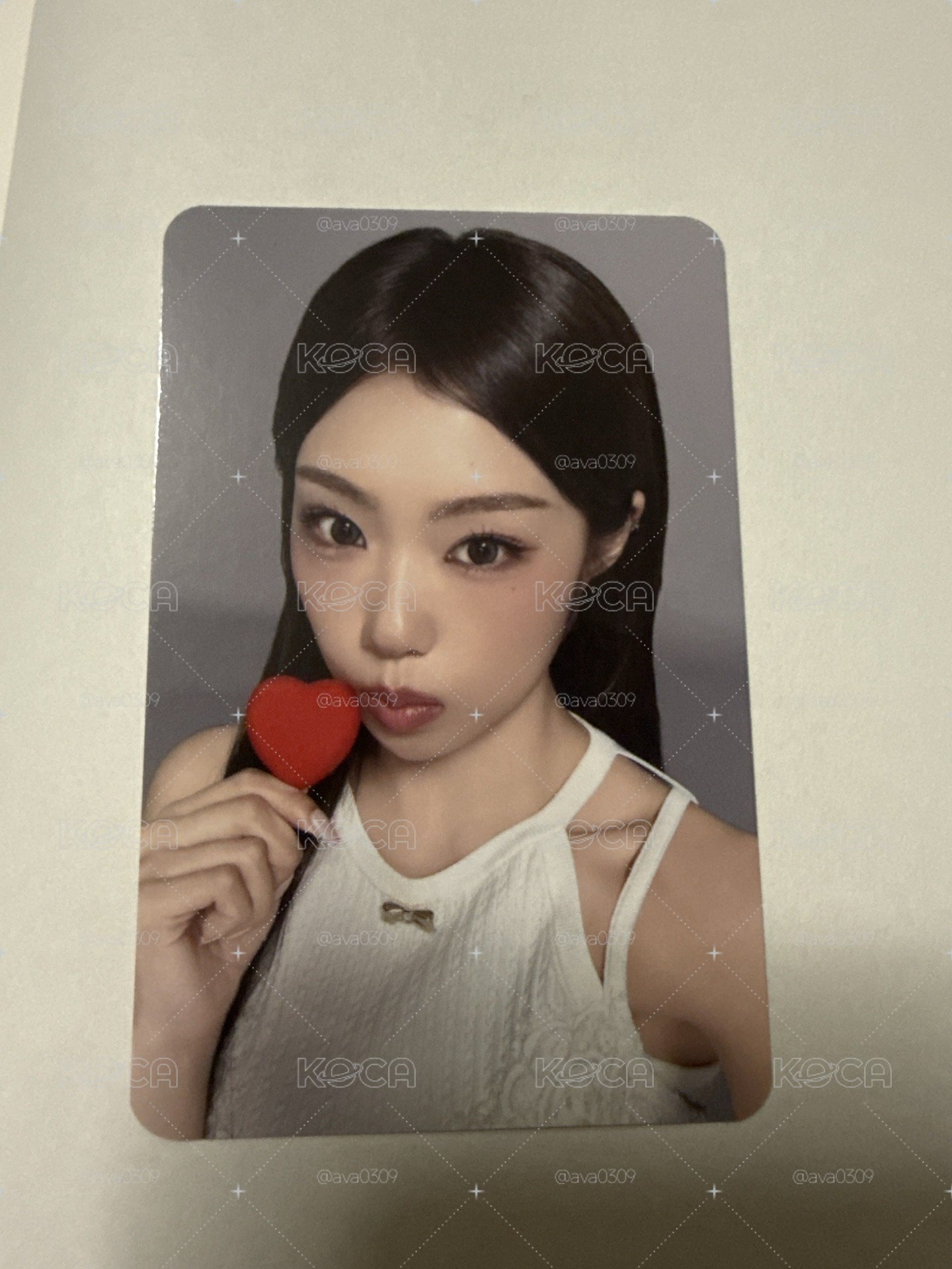 MS 年曆庭