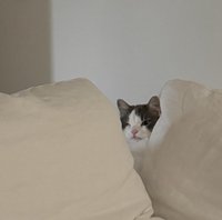 헤이리