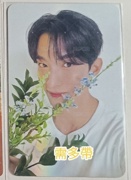 碩 克拉盤