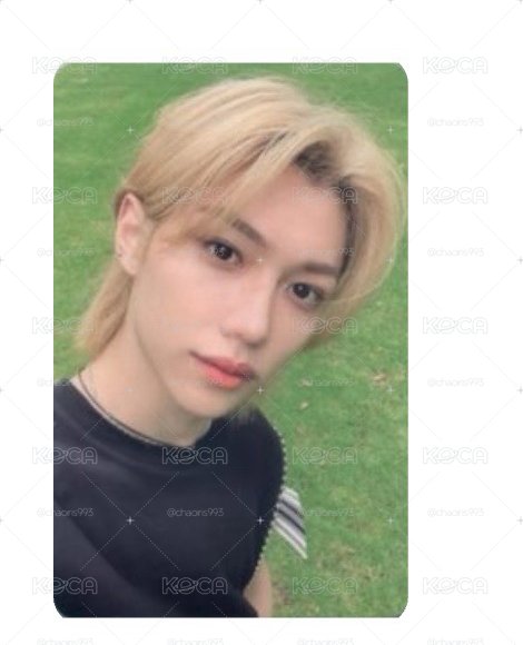 萌萌SKZ