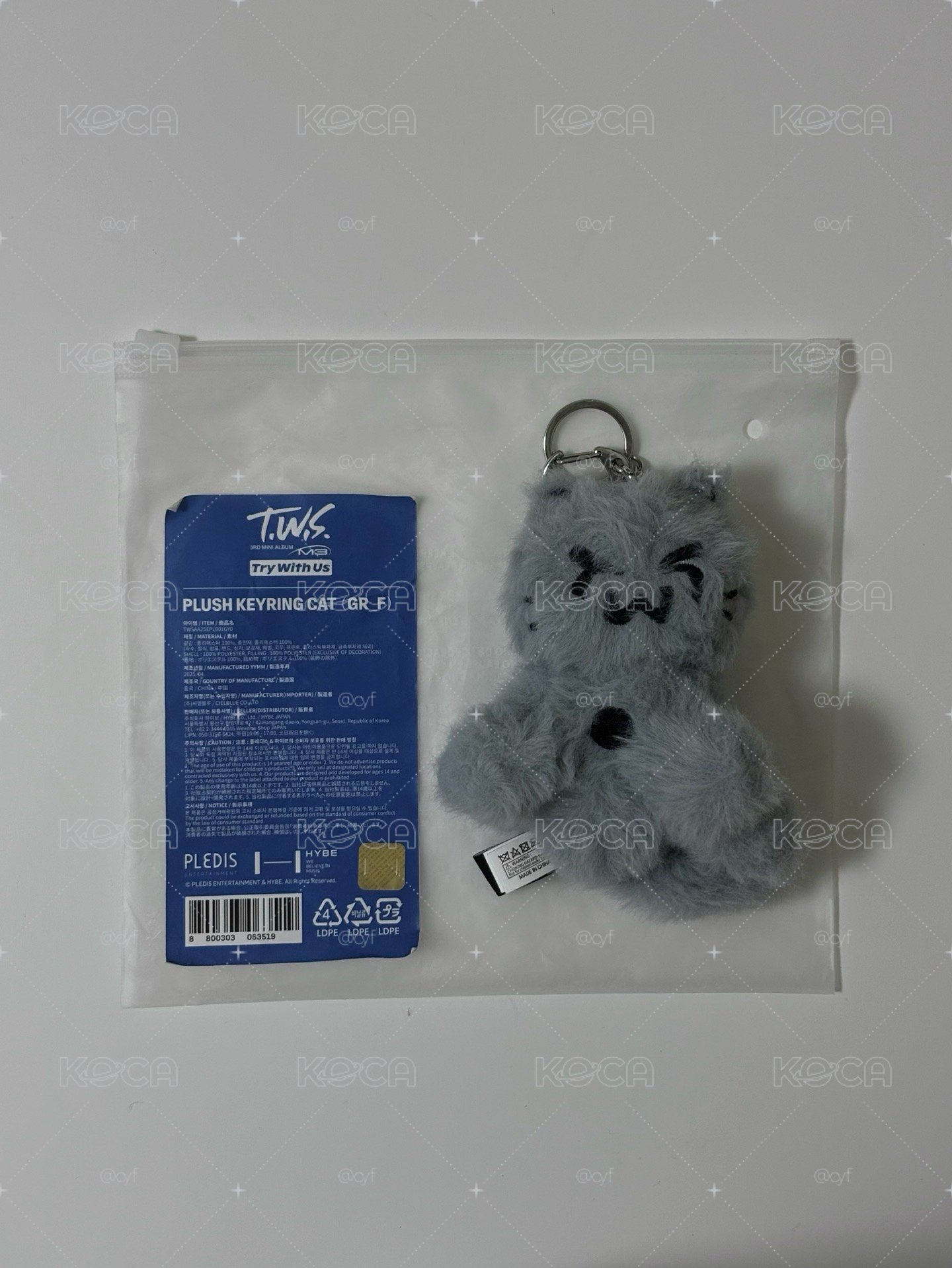 tws 灰貓