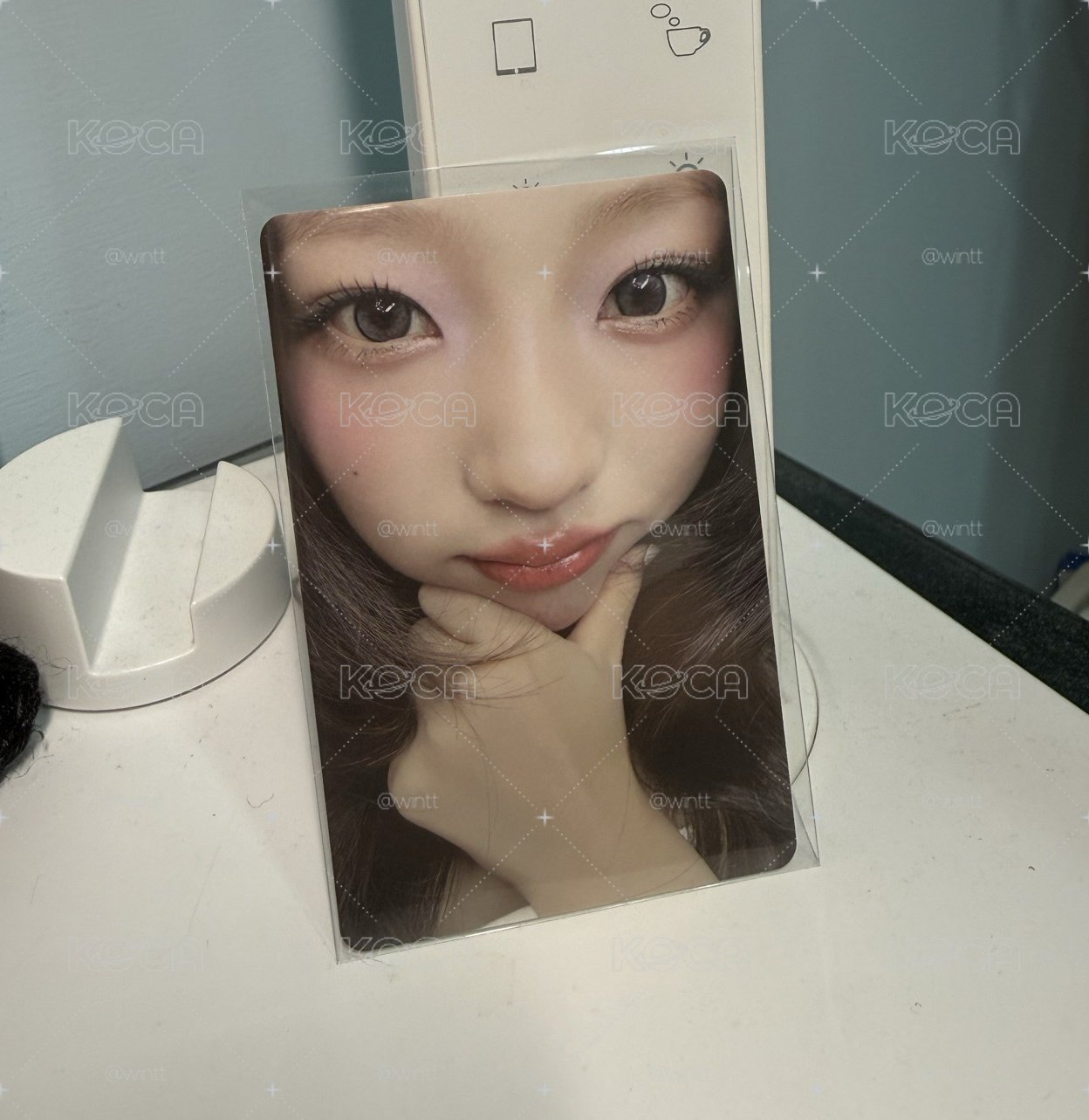 stella懟臉專卡