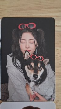 狗狗允