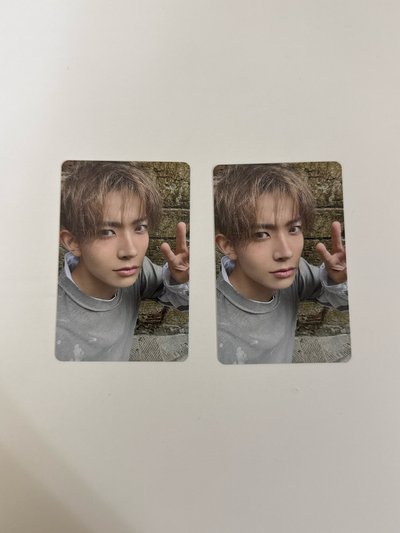 🐹羲