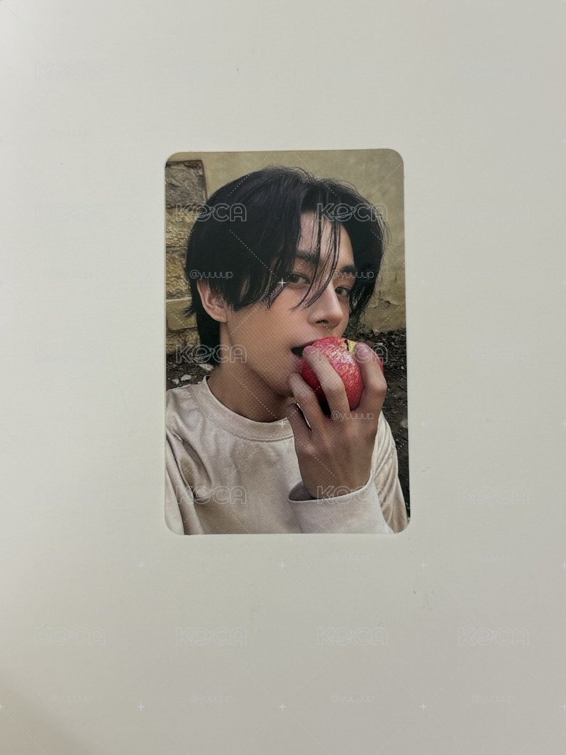 🦮倫