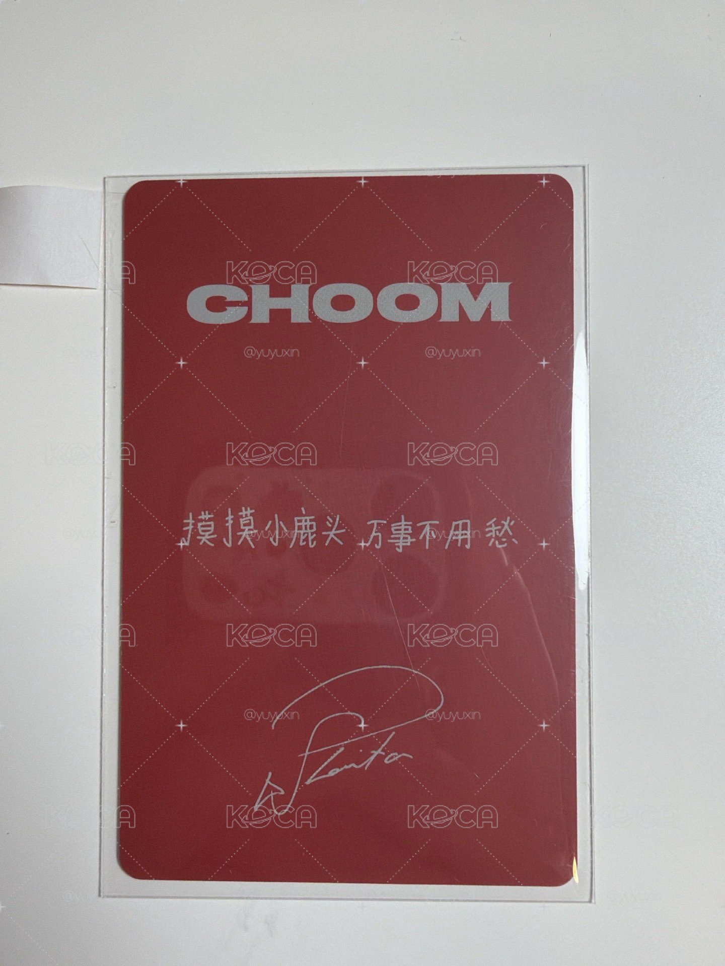 塔塔中背