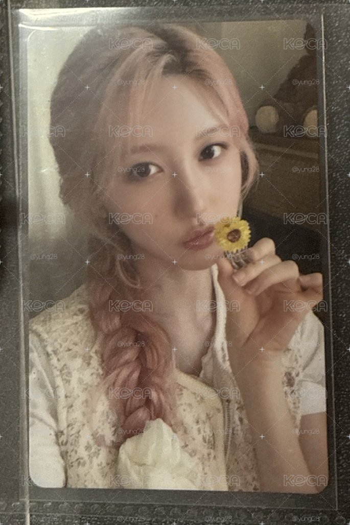 LUCID DREAM 塔店 澀谷 抽選卡 秋