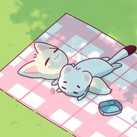 阿里尬李韓