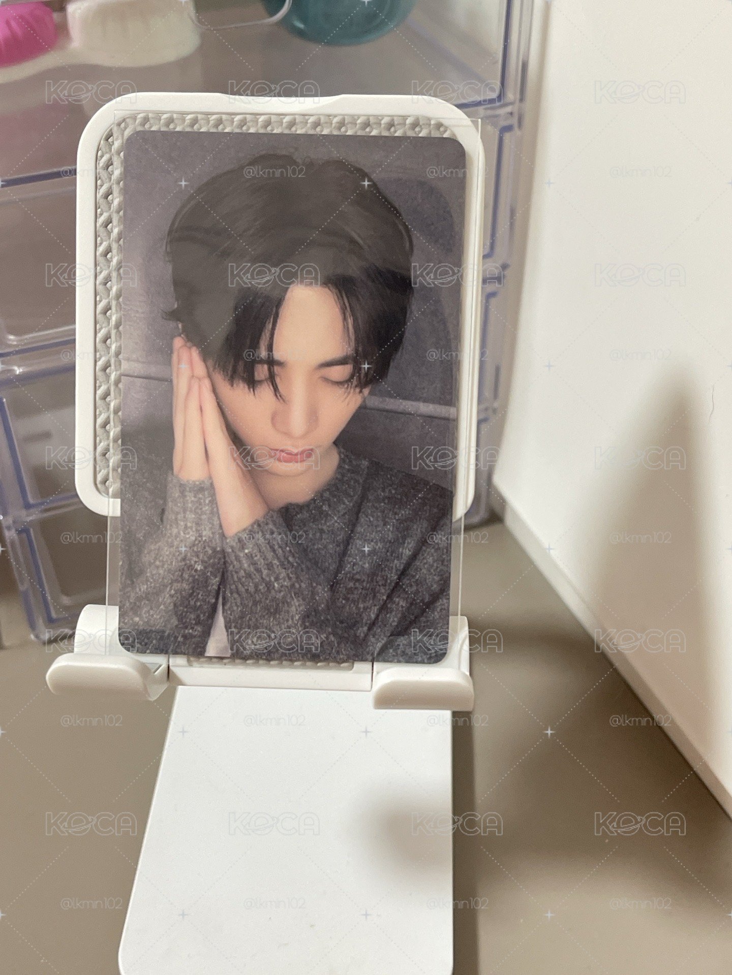 睡覺小貓