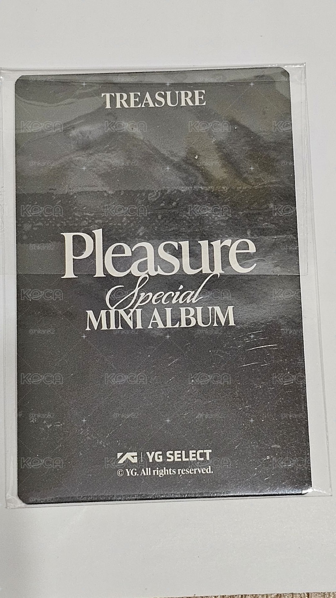 TREASURE PLEASURE SPECIAL MINI ALBUM 🐨