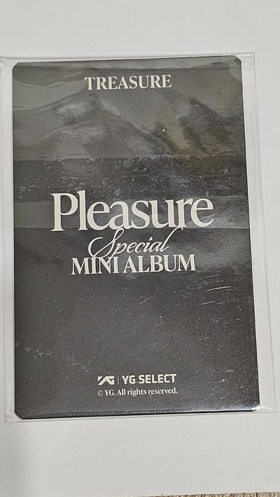 TREASURE PLEASURE SPECIAL MINI ALBUM 🐨