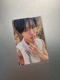 阿嘟樹