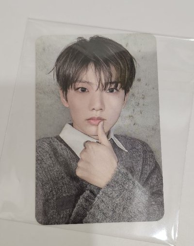 TREASURE PLEASURE SPECIAL MINI ALBUM 🐨