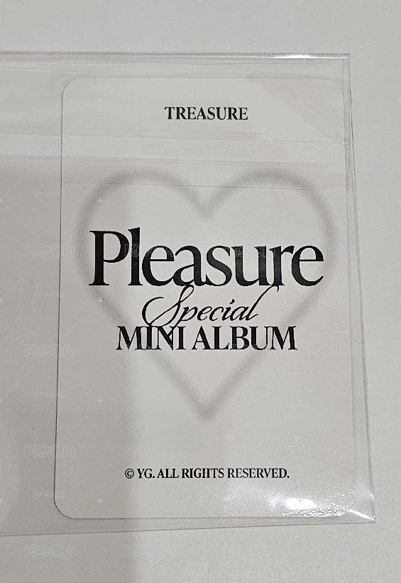 TREASURE PLEASURE SPECIAL MINI ALBUM 🐨