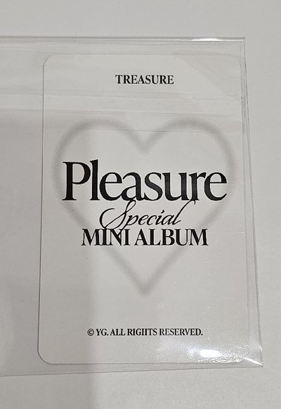 TREASURE PLEASURE SPECIAL MINI ALBUM 🐨