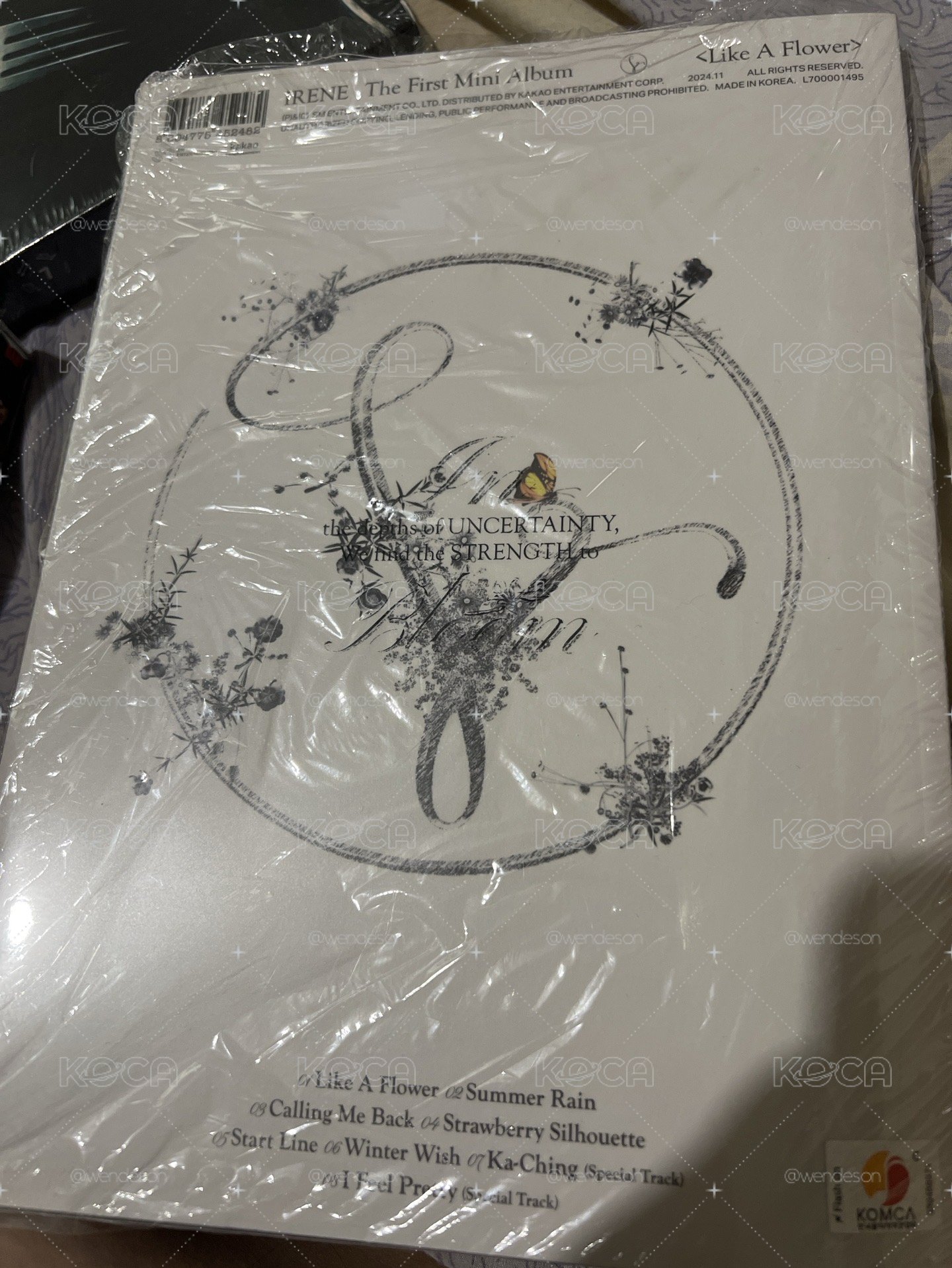 Irene空專