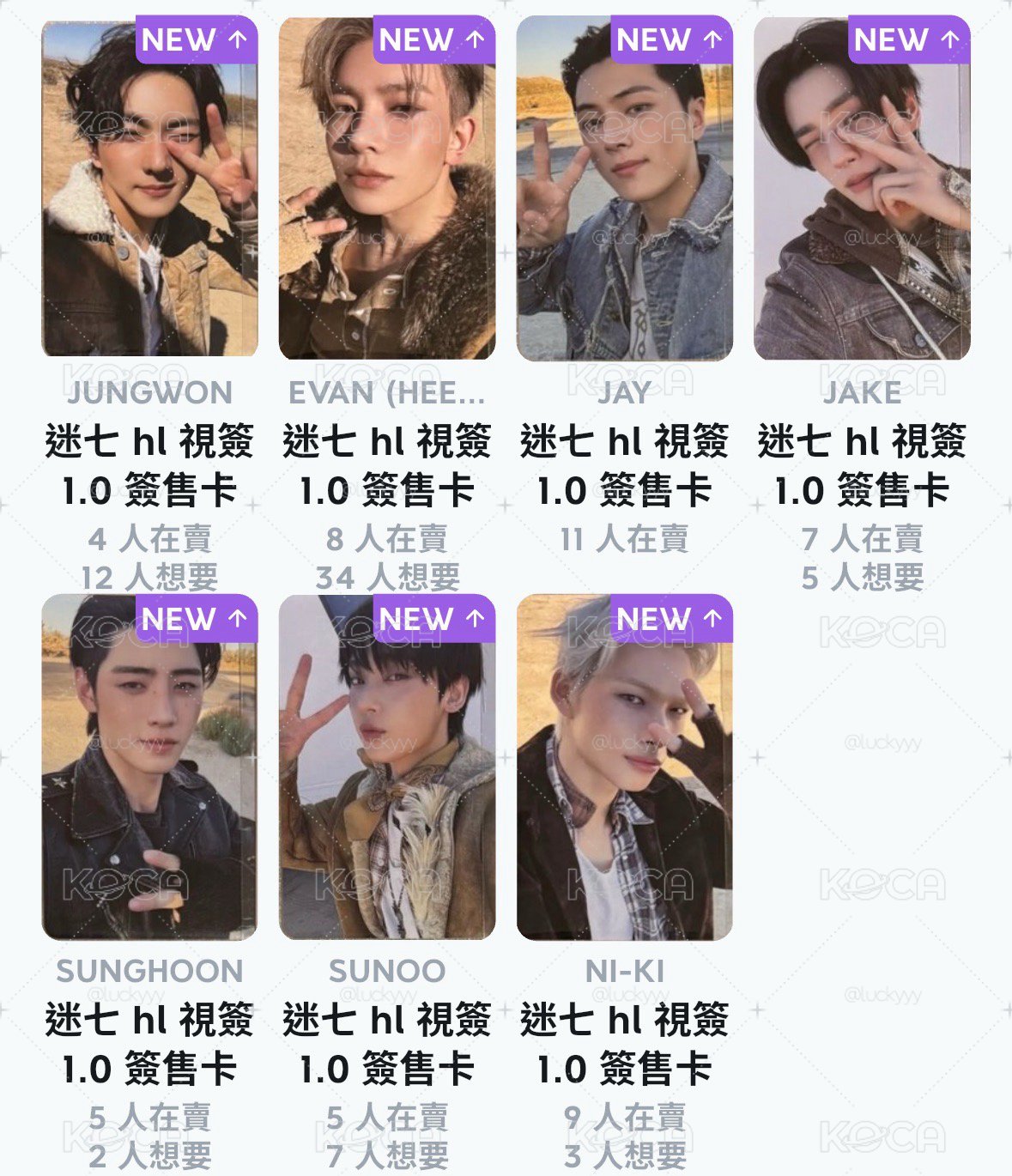 hl視簽1.0單卡 一套