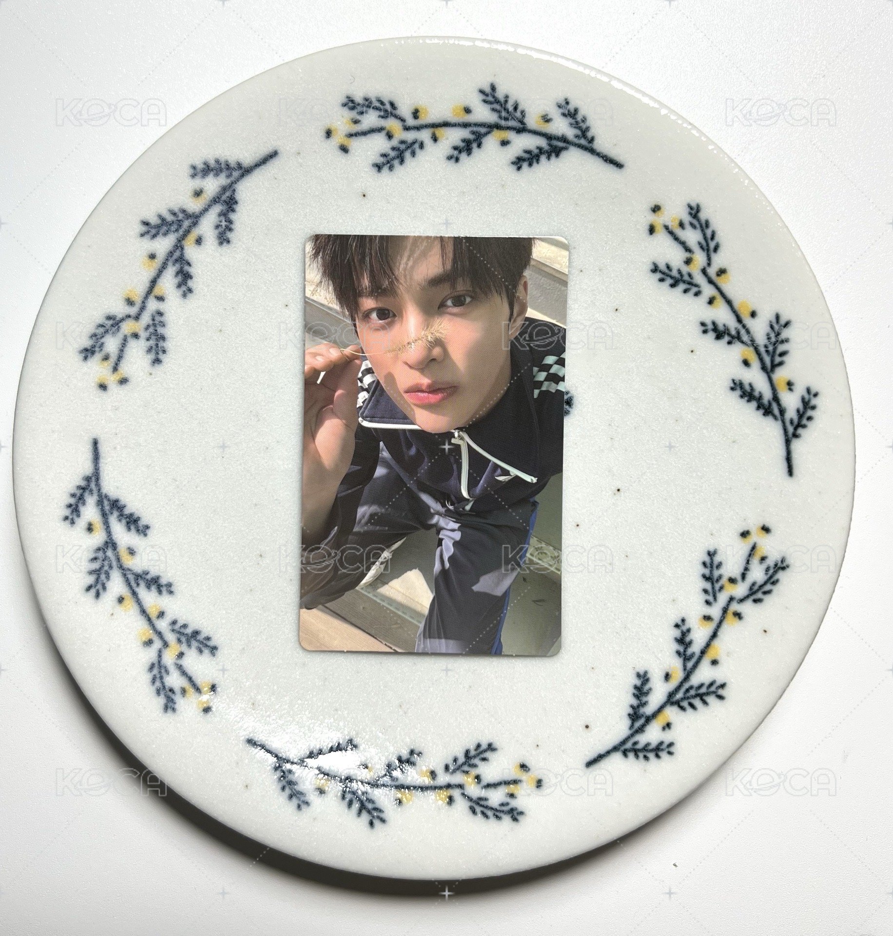 小狗採路邊野草