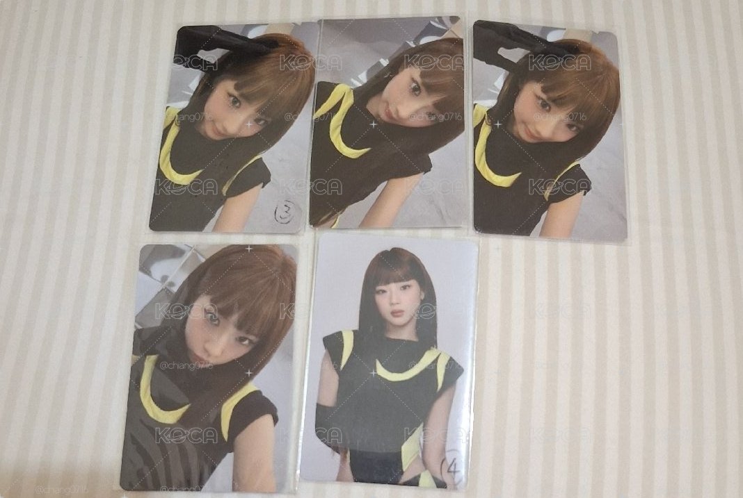 黑黃衣露卡