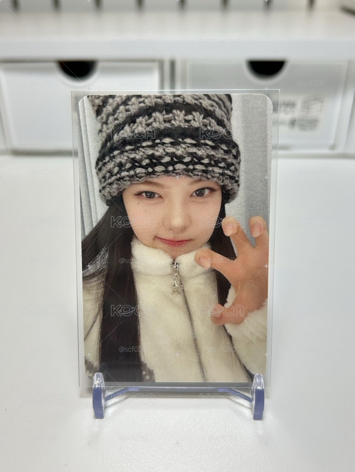 Focus ny 2.0 簽售卡 
