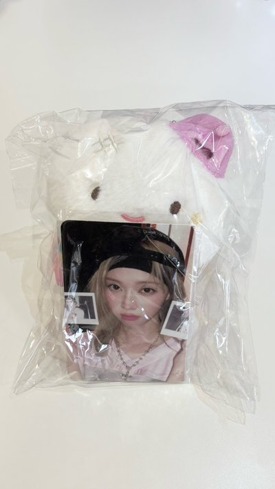 冬冬周邊小盤 🐶◝✩