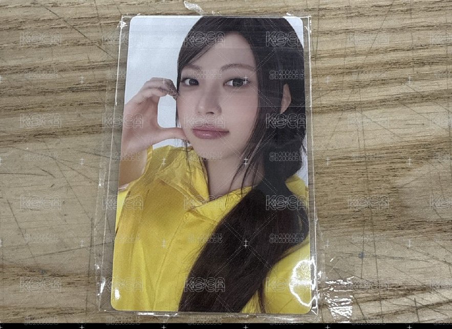wvs採 