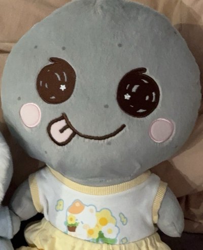 出複數 40cm大龍石 圖二實體照有原袋，僅拆封檢查