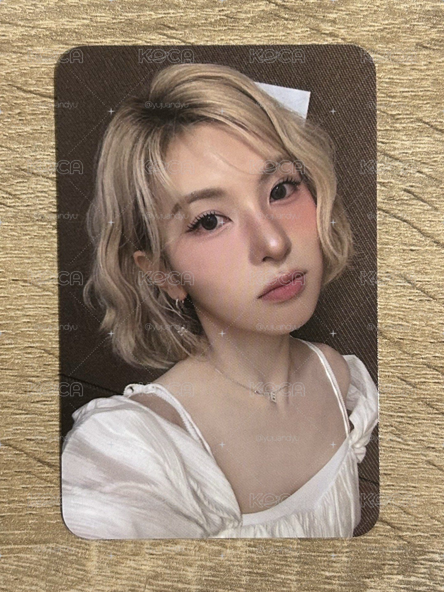 月光仙子裴