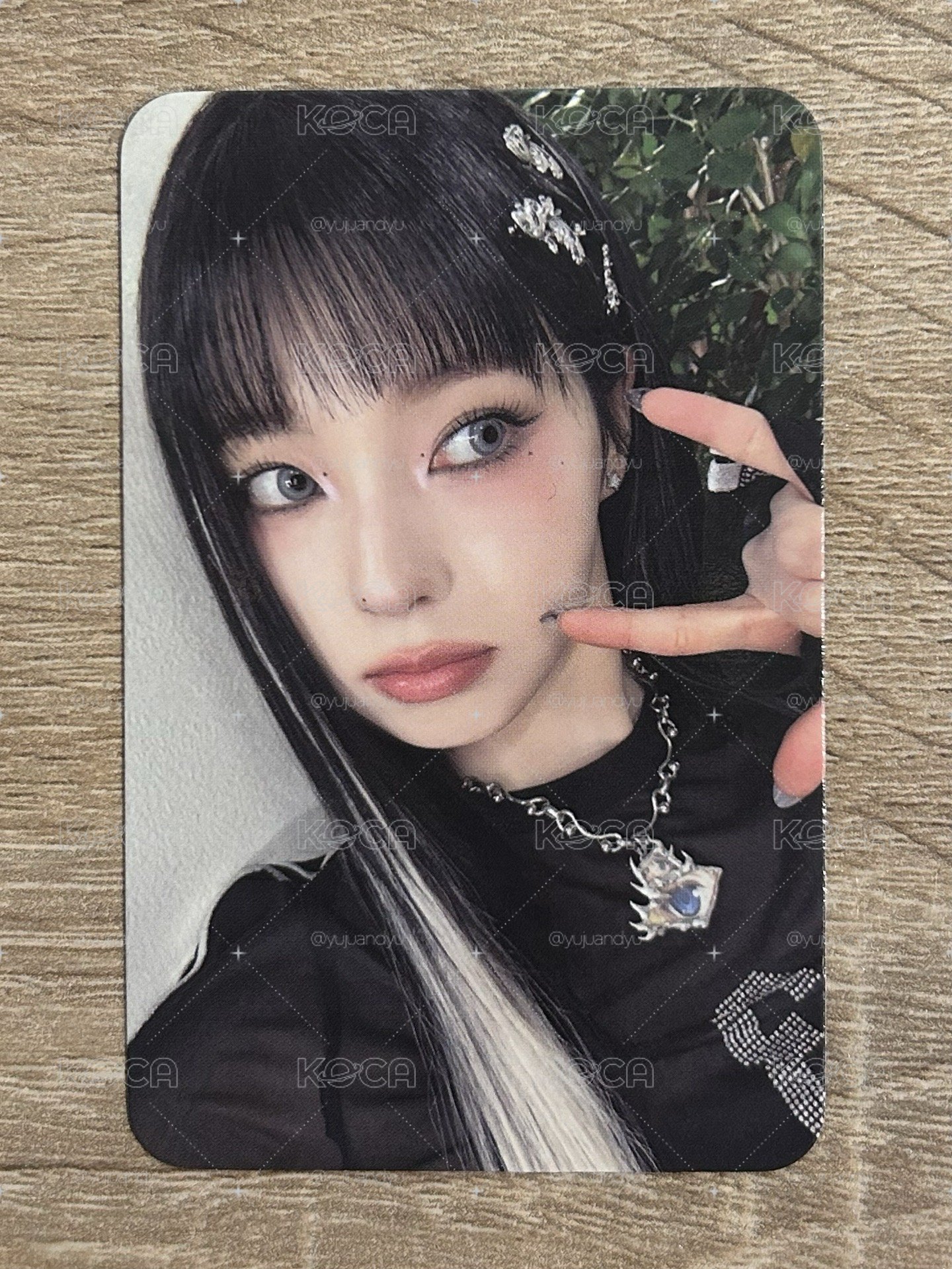 MMT LD ON圭