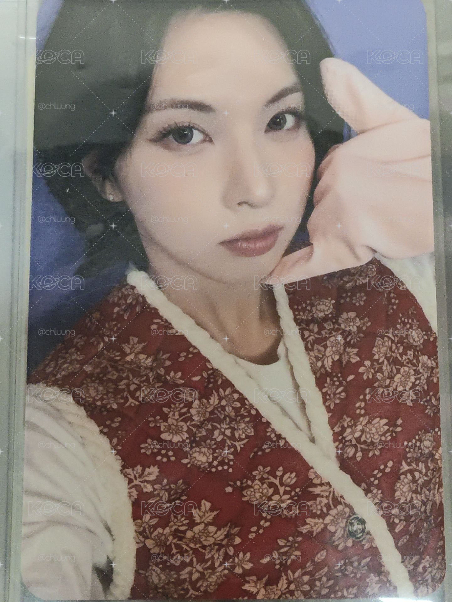 泡菜裴