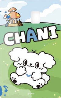 CYLU快閃店 卡片貼紙 磁吸卡套