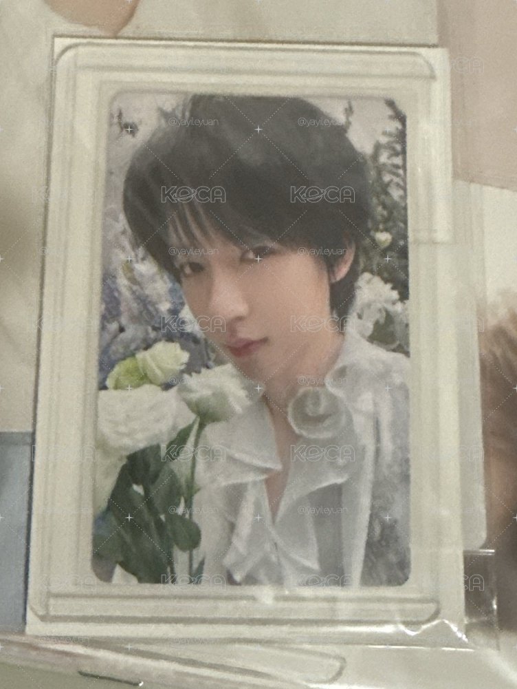 捧花7