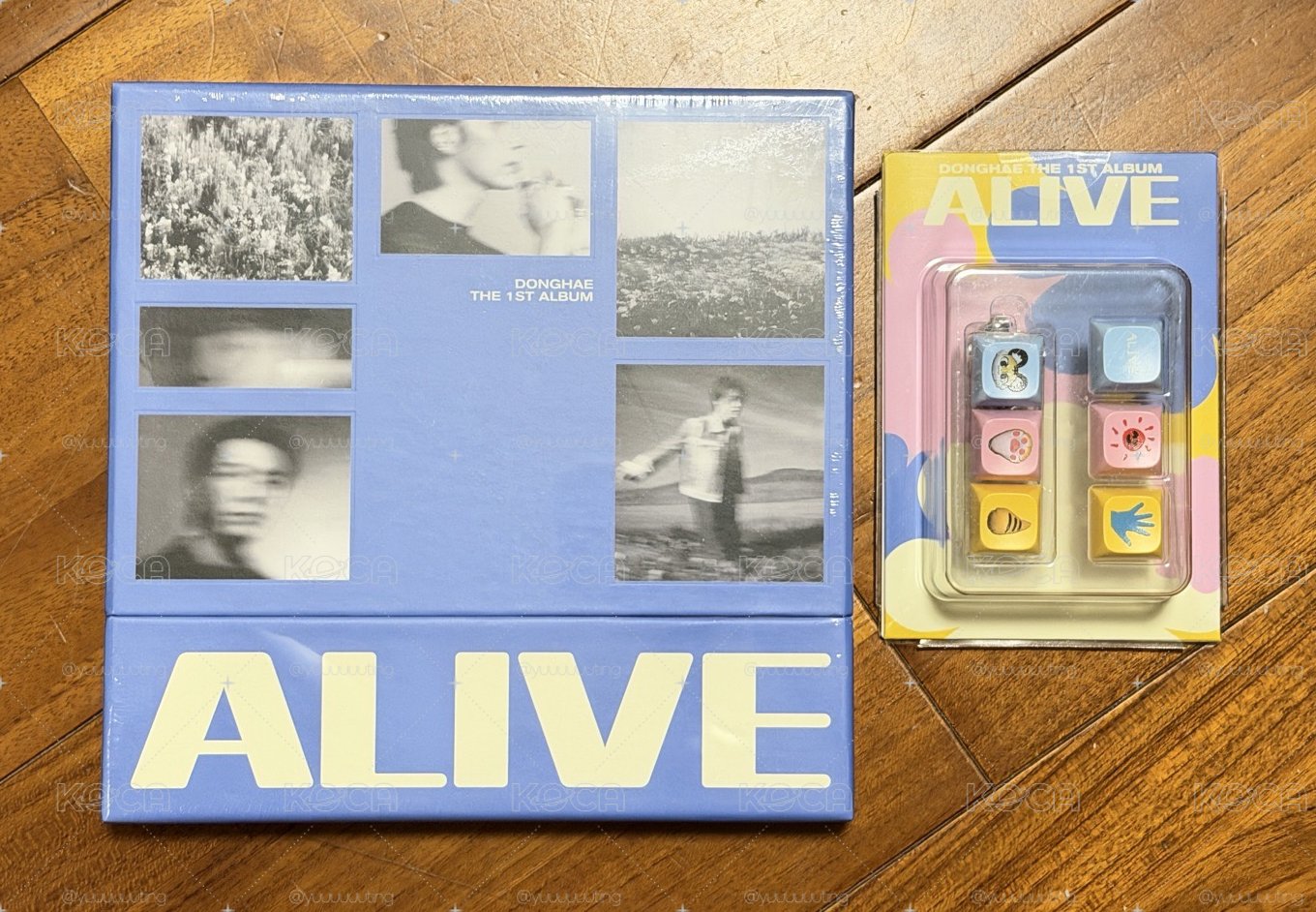 東海 1ST SOLO ALIVE全新未拆專