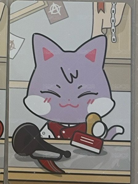貓