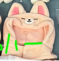 一代手燈套寅