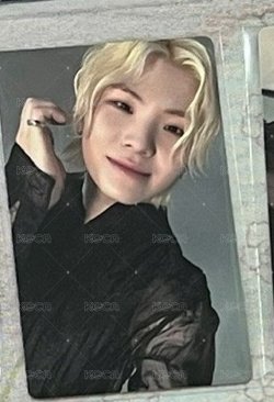 wvs克拉盤（含明信片