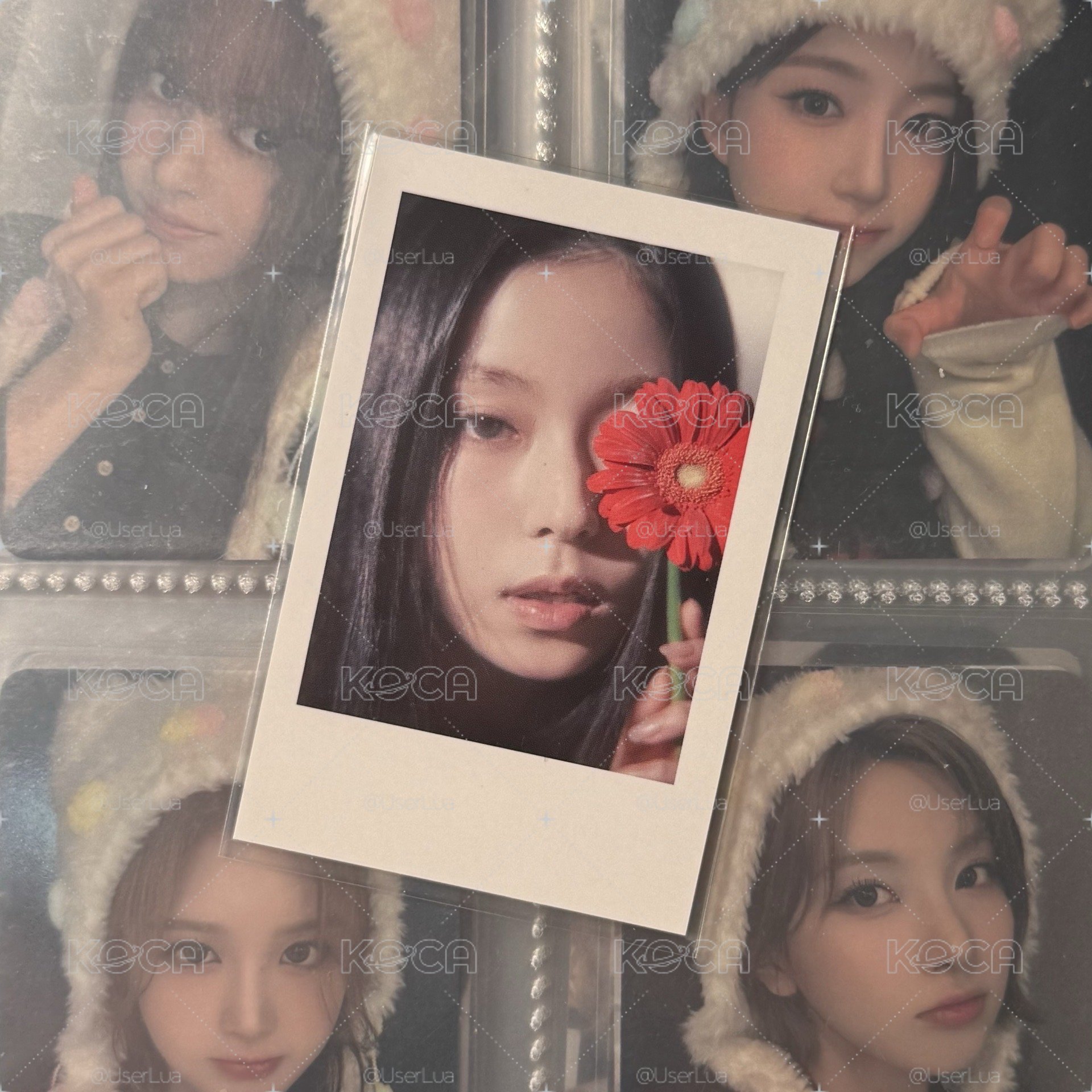 🌟正規一 ms拍立得 圭