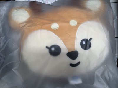 miniteen 知秀抱枕