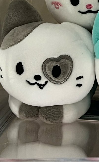 志 暖手娃