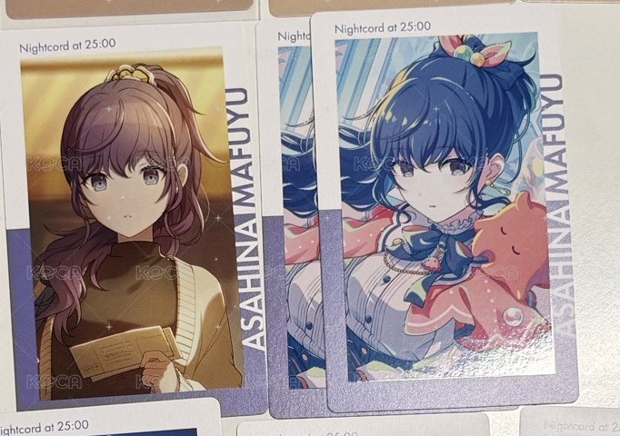 真冬  水族三張