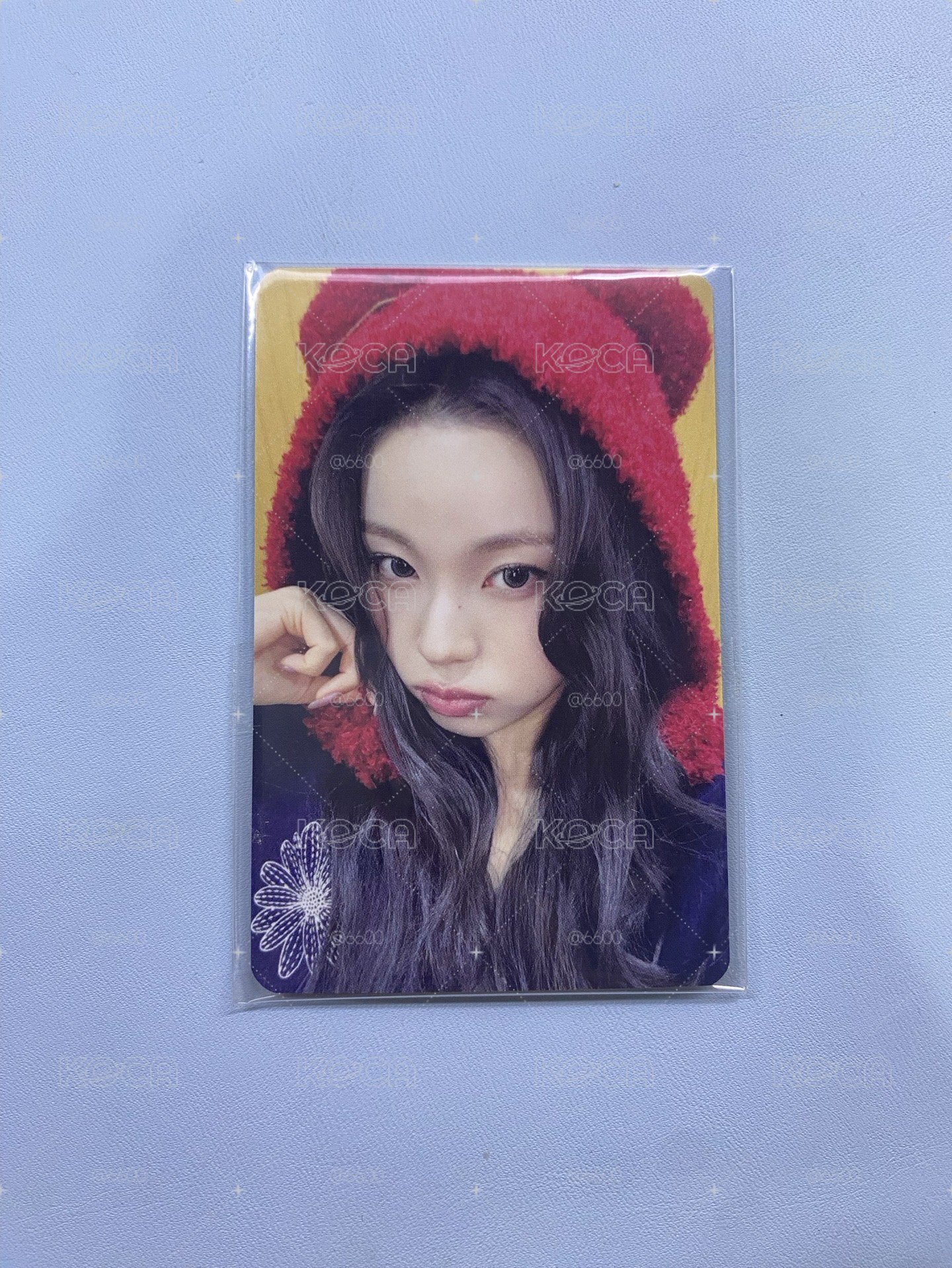 熊熊 圭圭
