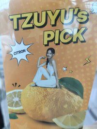 康普茶 海報 代言小海報