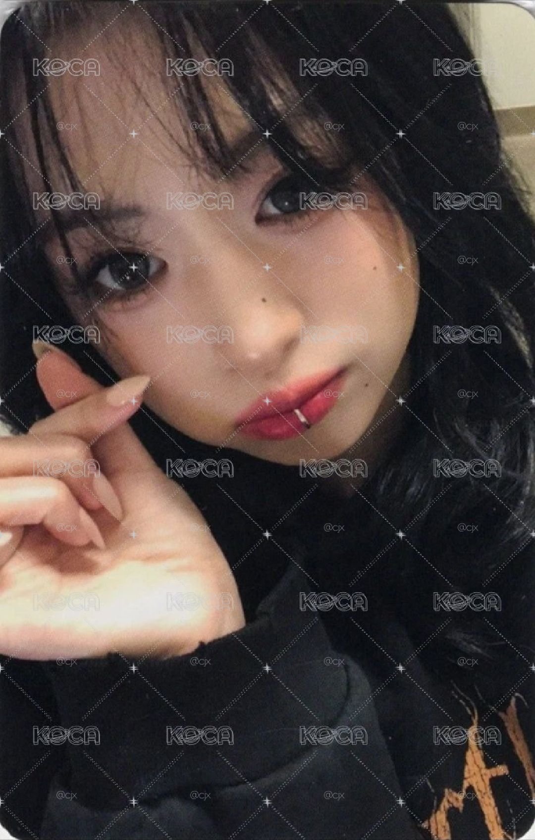 雅賢特典
