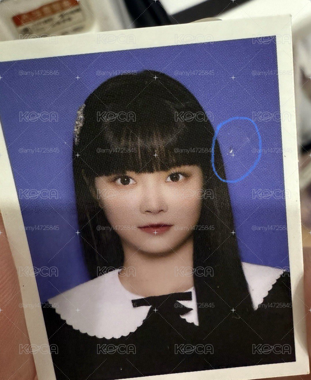 LE SSERAFIM 2023年曆證件照