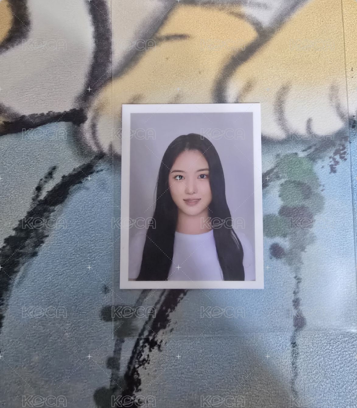迷1盲盒證件照