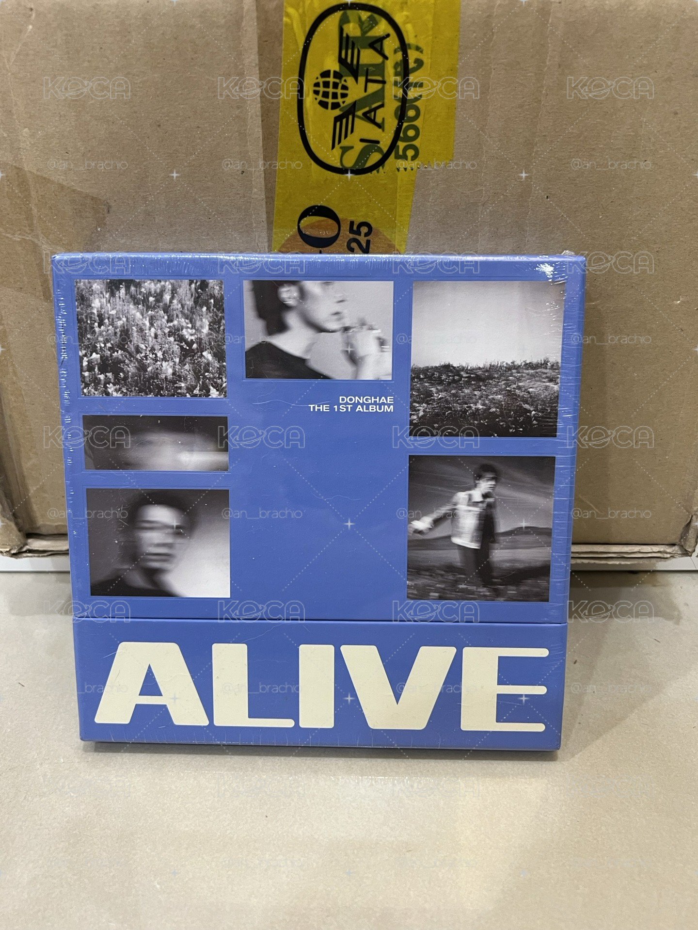 東海 ALIVE PB 