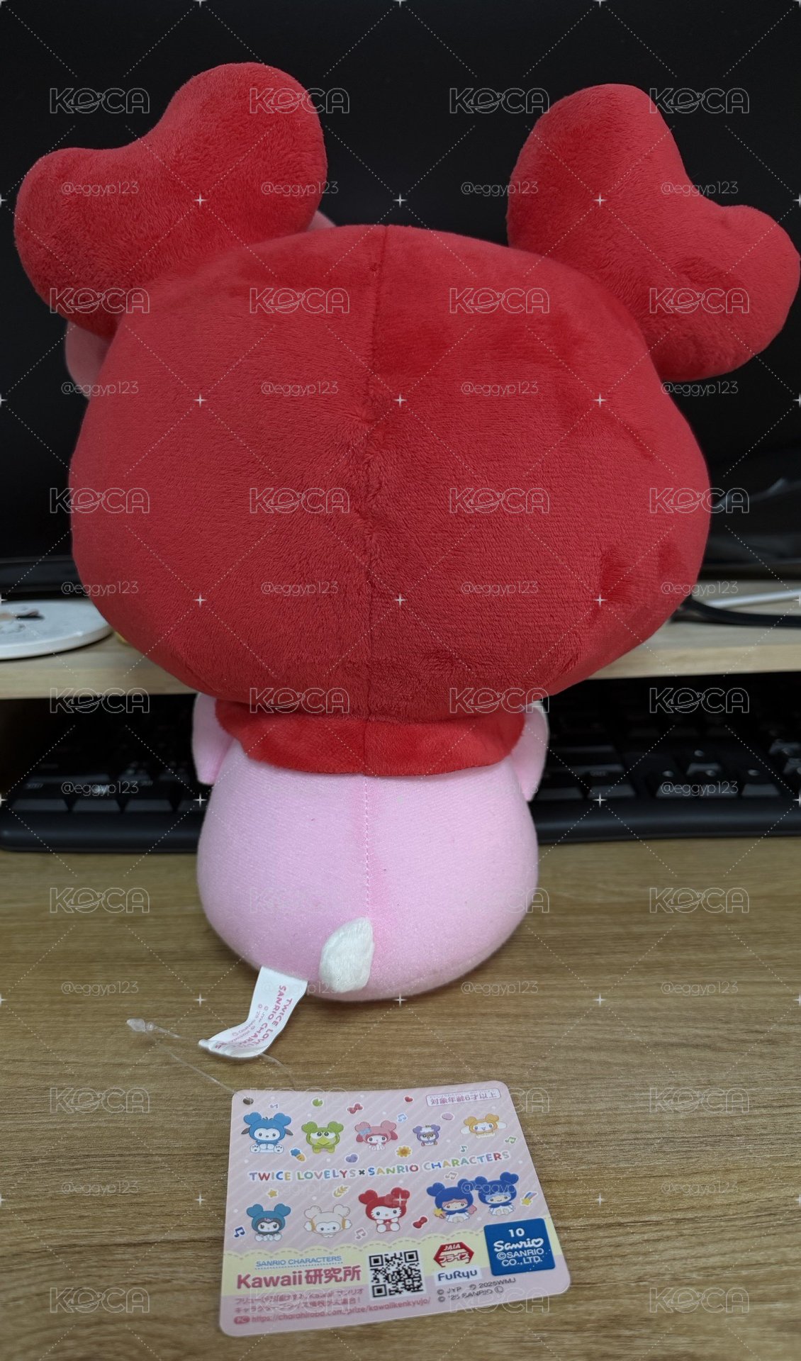 三麗鷗xTWICE  彩瑛大娃
