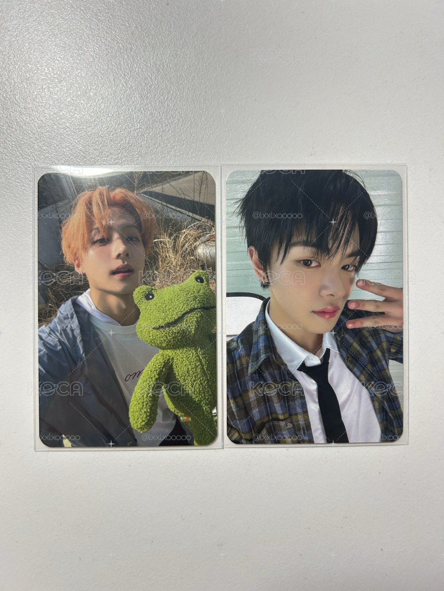 fancon 仁川粽卡 D1-Leo/D2-相沅