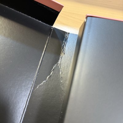 THE ALBUM日本初回限定DVD全專