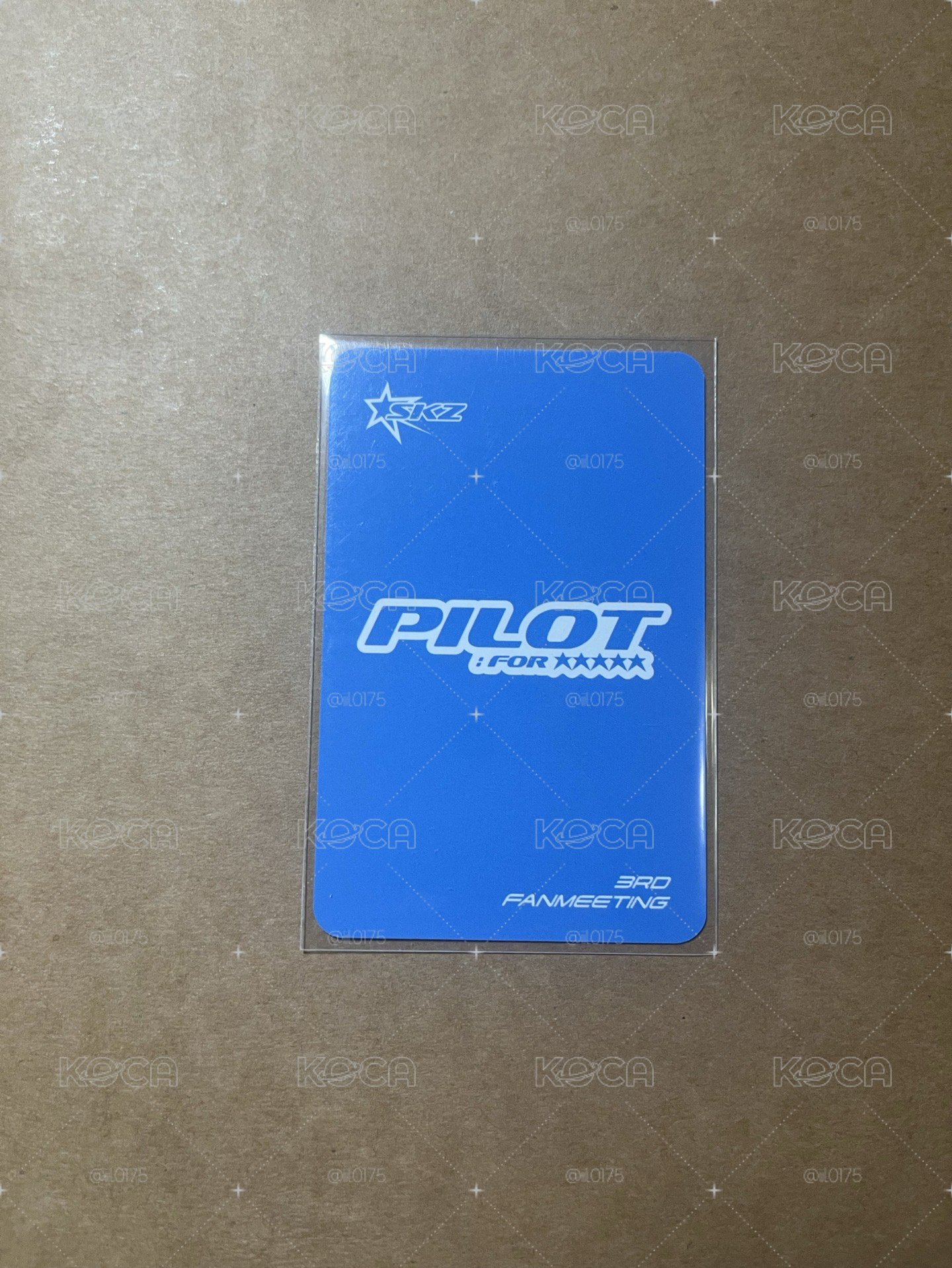 辰fm飛行員入場卡